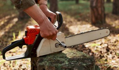 آیا اره موتوری برای هرس باغ مناسب است؟ بررسی تخصصی مزایا و معایب