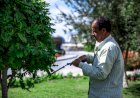از چه سم‌هایی می‌توان در سمپاش دوشی استفاده کرد؟ راهنمای کامل مصرف سموم در باغ و مزرعه