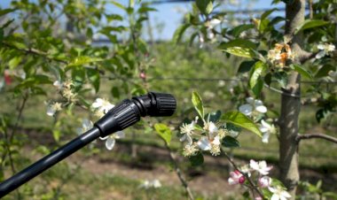 نکات مهم برای انتخاب شیلنگ مناسب سمپاش | راهنمای خرید از غیاثی‌شاپ