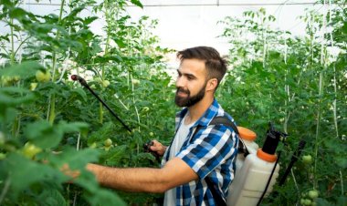 آیا شست‌وشوی مخزن سمپاش پس از هر بار استفاده ضروری است؟ پاسخ کارشناسی