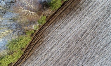 بهترین زمان انجام یخ‌آب زمستانه کِی است؟ گزارش غیاثی شاپ